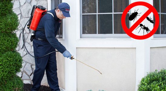 Beytüşşebap Böcek İlaçlama böcek ilaçlama ve haşere kontrolü — ilaclama-tr.com
